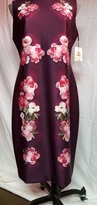 Calvin Klein NWT Sleeveless Dress sz 14